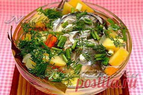 Уха из голов толстолобика » Кулинарные рецепты, домашняя еда на каждый день!!!