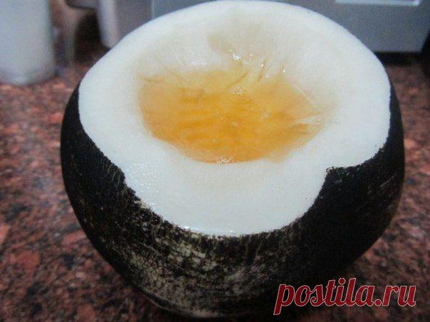 ЧЕРНАЯ РЕДЬКА-ЧУДЕСНИЦА / Популярная медицина