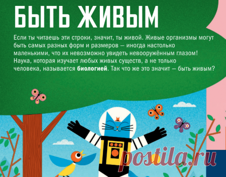 Друзья, мы тут одним глазком уже заглянули в новую книгу "Профессор Астрокот и его путешествие по телу человеку" ( И знаете, что хотим сказать? Она очень крутая! Вот оцените сами несколько иллюстраций!