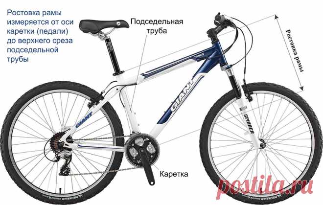 Размер рамы велосипеда по росту: таблица, как выбрать ростовку, рекомендации