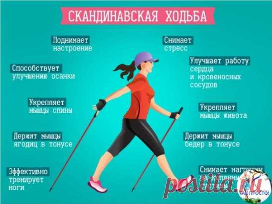 СКАНДИНАВСКАЯ ХОДЬБА.
Скандинавская ходьба прекрасно подходит для людей, которые ведут здоровый образ жизни. 
Этот вид ходьбы придумал знаменитый лыжник Юхе Мието. Почти сто лет назад он показал скандинавскую ходьбу в Финляндии. Когда спортсмен тренировал лыжников, он дал им задание поддерживать форму в течении года путем тренировок с палками без лыж. 
Скандинавская ходьба подходит для любой погоды и времени года. Число ее поклонников растет еще и потому, что в этом виде спортивной ходьбы не