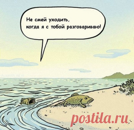 Так случилась эволюция