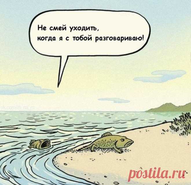 Так случилась эволюция