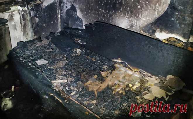 СК начал проверку после пожара в жилом доме в Заволжье. Следователи организовали проверку после пожара в многоквартирном доме в городе Заволжье Нижегородской области.