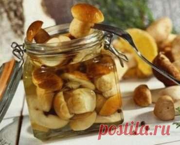 Рецепты — Жизнь под Лампой!