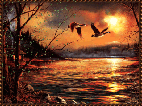 АНИМАЦИОННЫЕ КЛИПАРТЫ - NEW Animation