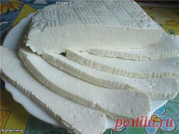 СЫРЫ ДОМАШНЕГО ПРИГОТОВЛЕНИЯ