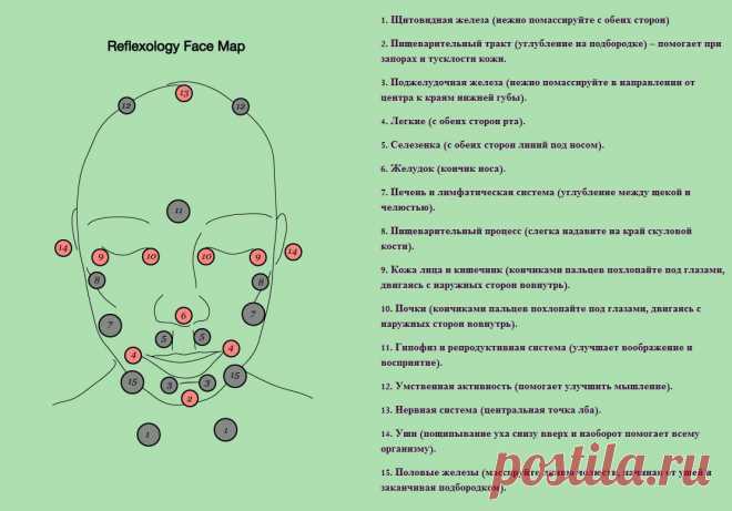 Стимуляция активных точек лица. Схема рефлексотерапии лица.