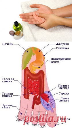 Точечный массаж рук. Су Джок массаж. Су Джок терапия лечение