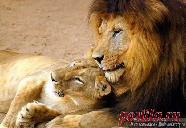 юмор приколы анекдоты