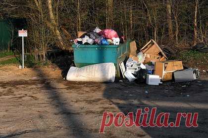 Ветхий мост превратил российскую деревню в свалку и приманку для хищников