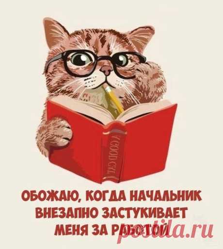 Обожаю, когда начальник (открытка 1029): Бесплатные картинки &amp;#8226; Otkrytki.Top