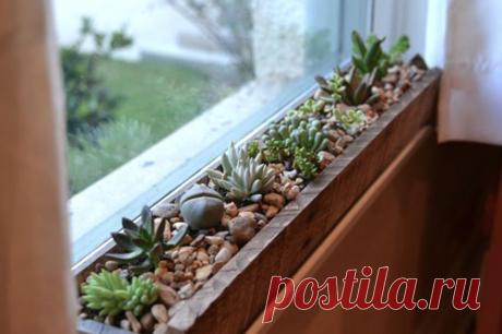 Продуктивное использование подоконника - Домашний hand-made