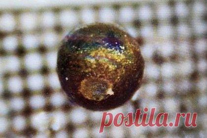 Ученого обвинили в похищении фрагментов корабля пришельцев. Астрофизик, профессор Гарвардского университета Аби Леб, в июне успешно извлекший из Тихого океана фрагменты метеорита IM1, который, по его мнению, имеет искусственное происхождение и может быть частью корабля пришельцев, получил обвинения в краже от властей Папуа-Новой Гвинеи.