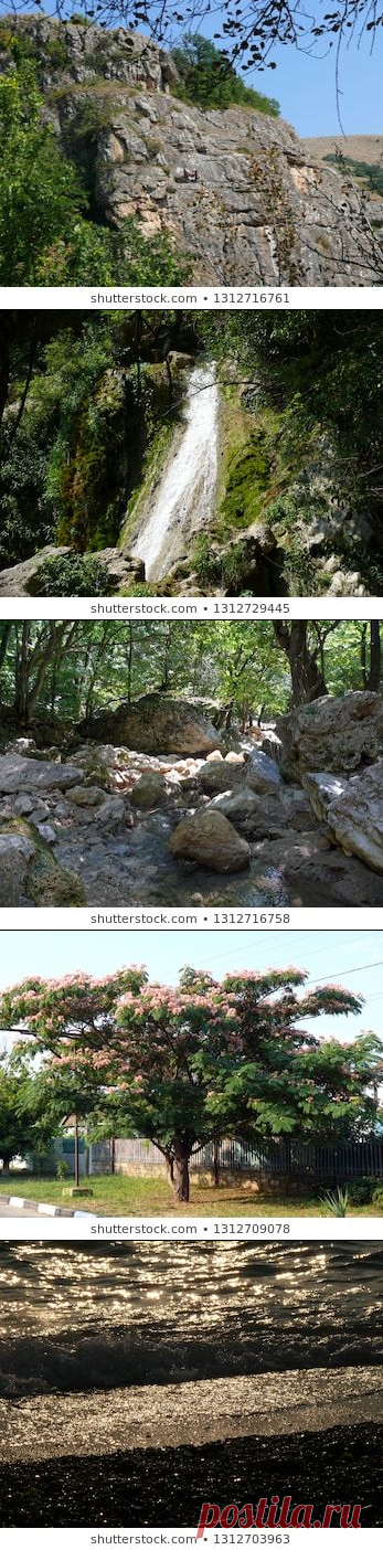 Arnatana: портфолио на Shutterstock