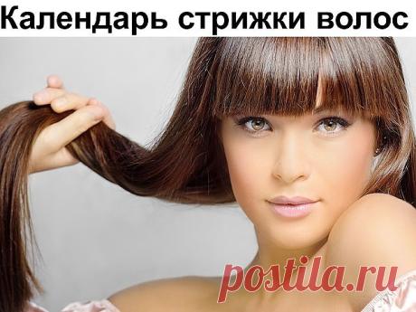 Сохраните, ЧТОБЫ НЕ ПОТЕРЯТЬ:

СОВЕТ 1: В первую очередь, всегда планируйте поход в парикмахерскую, опираясь на лунный календарь. Так, например, если луна находится в таких знаках зодиака, как Лев или Дева (таких дней в году, к сожалению, бывает крайне мало), то знайте – это самые благоприятные дни для стрижки.

Хорошими для стрижки также считаются дни, когда луна в Тельце и Козероге. Если подстричь волосы в этот момент, они станут быстрее расти, прекратится их сечение и в...