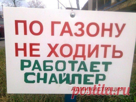приколы