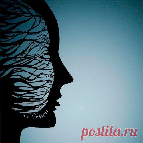 Тест - Что лучшего в вас? Первое, что увидели, раскроет, какие скрытые качества есть у вас!Банан