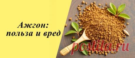 Ажгон: польза и вред для организма, маски для лица и рецепты блюд Ажгон: состав, польза и вред, применение в народной медицине, косметологии и кулинарии, рецепты блюд и напитков, маски для лица.