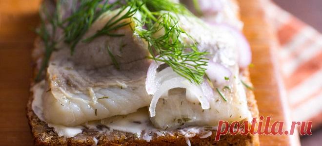 Бутерброды с селедкой на черном хлебе