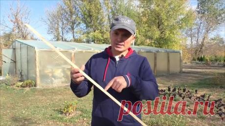 Как накрыть теплицу плёнкой правильно.