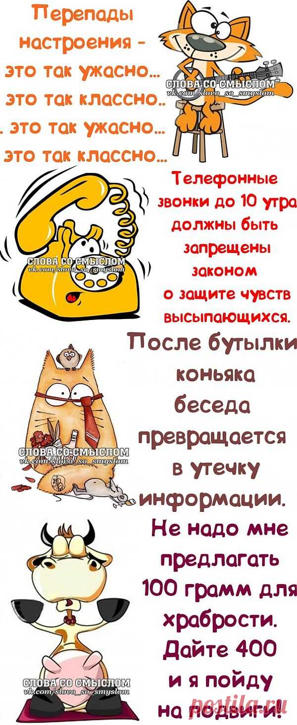 Прикольные фразочки со смыслом :).