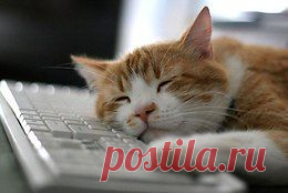 43-летний художник Андрес Амадор из Сан-Франциско рисует на пляжах во время отливов уже десять лет. ...