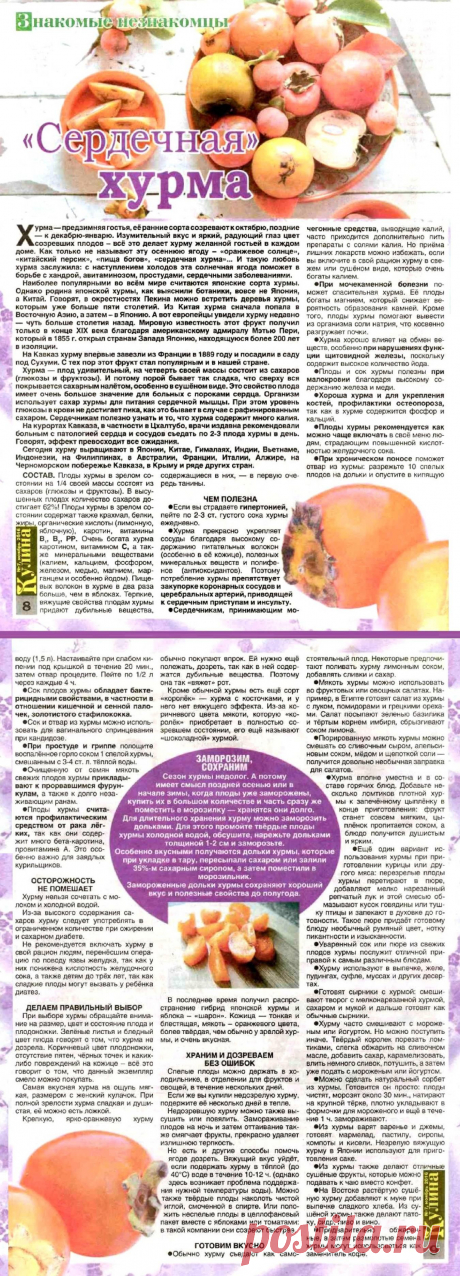 Хурма в медицине и кулинарии