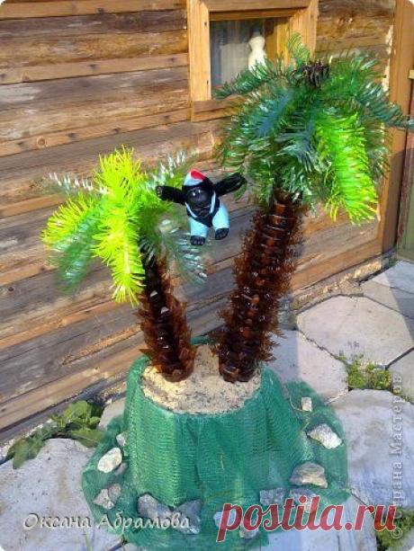 Пальма (из пластиковых бутылок) - Из пластиковых бутылок