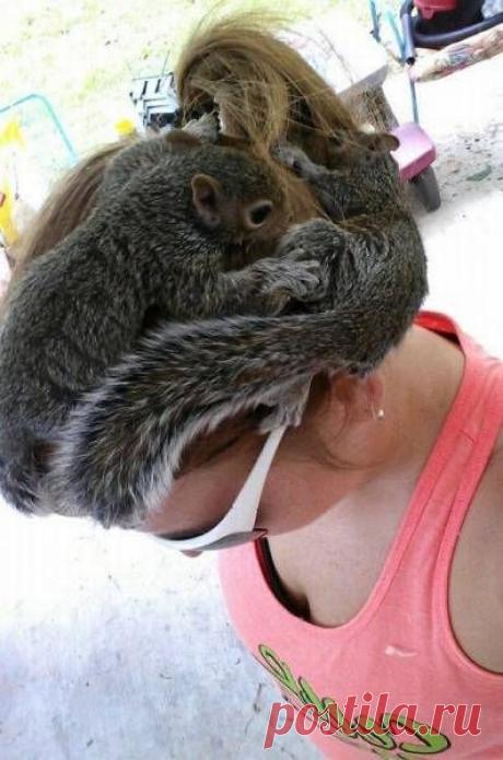 Самые прикольные картинки (54 фото)