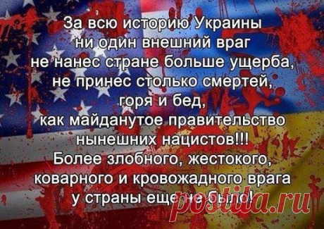 (9) Николай Азаров
