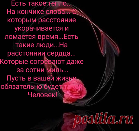 Цитаты и афоризмы великих исторических философов. – Google+