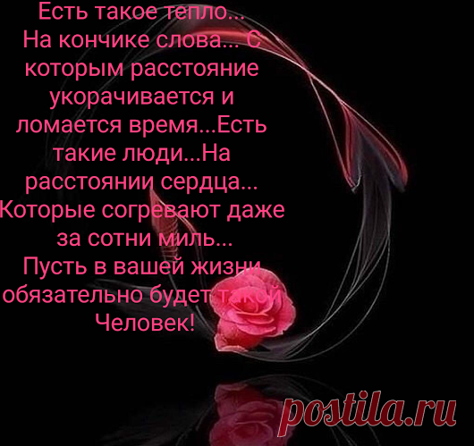 Цитаты и афоризмы великих исторических философов. – Google+