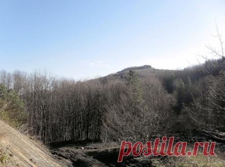 Долгожитель Иванов Михаил Степанович живет в небольшой деревушке Рагутские Ушачского района. - 9 Января 2019 - Персональный сайт