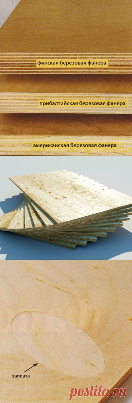 Какую фанеру выбрать?