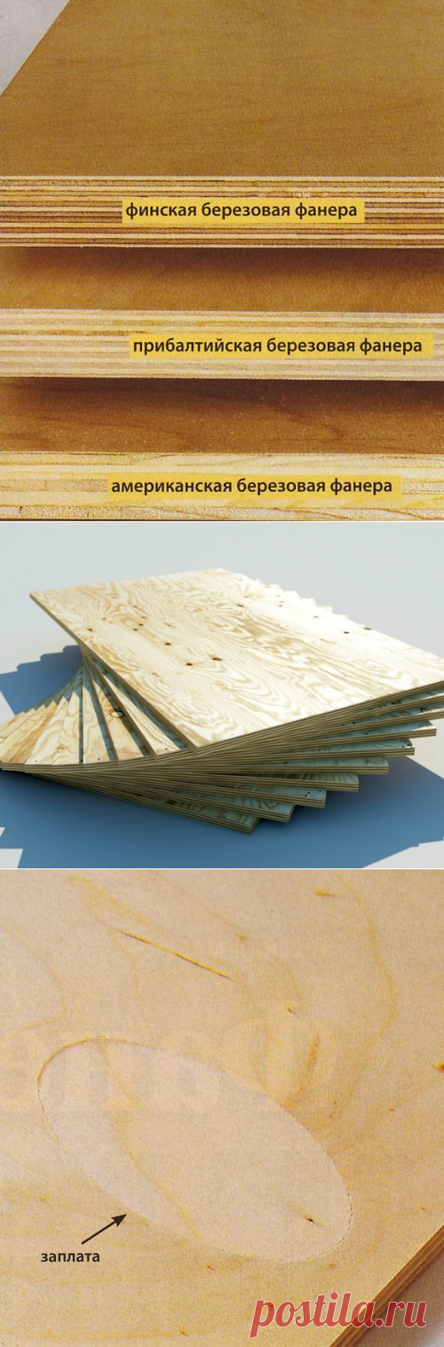 Какую фанеру выбрать?