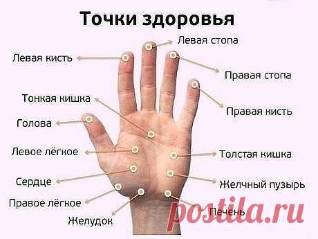 МАССИРУЯ ПАЛЕЦ ПО 1 МИНУТЕ В ДЕНЬ, ПОРАЗИШЬСЯ ТОМУ, ЧТО СЛУЧИТСЯ С ТВОИМ ТЕЛОМ  
 
Точки на большом пальце отвечают за сердце и легкие. Учащенное сердцебиение можно постепенно исправить с помощью массажа этого пальца.  
 
Указательный палец  
 
Отвечает за работу ЖКТ. Боли в животе, трудности при пищеварении можно легко преодолеть, массируя указательный палец.  
 
Средний палец  
 
Циркуляция крови — его забота. При тошноте, головокружении или бессонице просто помассируй с...