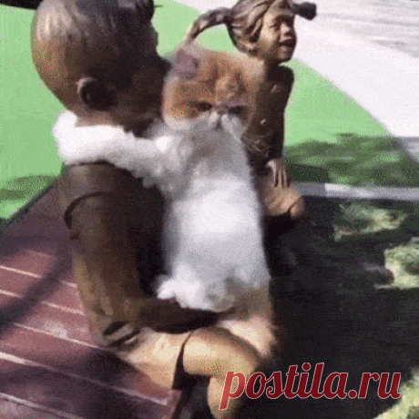 Иногда и котику хочется обнимашек