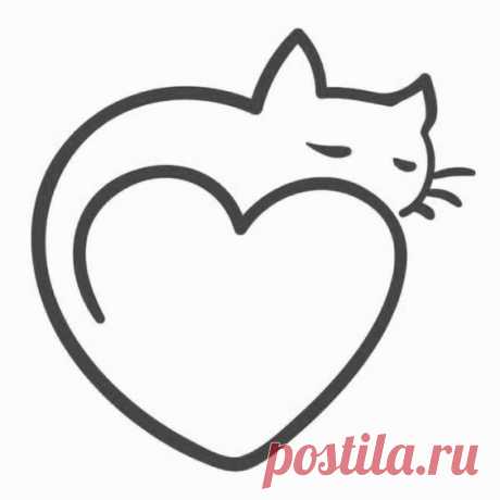 (12) Pinterest