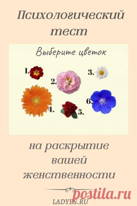 Найдется ли женщина, которая не любит цветы? Те, кто говорят, что они не любят, не совсем честны. Просто некоторые люди любят алые розы, другие любят милые букеты полевых цветов. Достаточно знать вкусы леди, чтобы угодить ей. Все, что вам нужно сделать, это просто выбрать цветок, и вы узнаете кое что интересное о вас или о вашей подруге &gt;&gt;