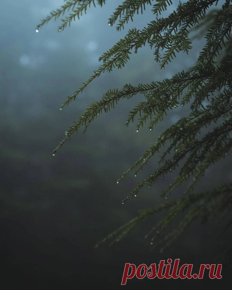 i (1080×1350)