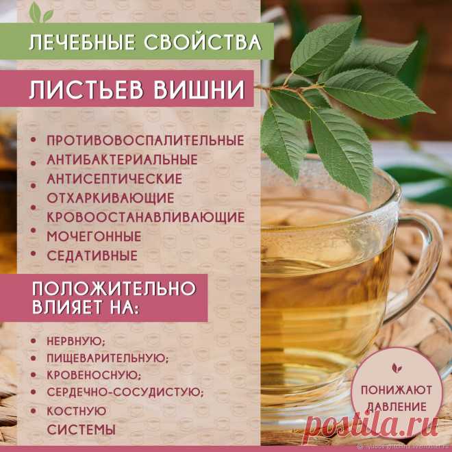 Леебные свойства листьев вишни