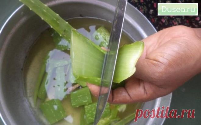 Одна очень приятная, энергичная старушка поведала… Ты обязана это знать! | Dusea.ru | Первый женский