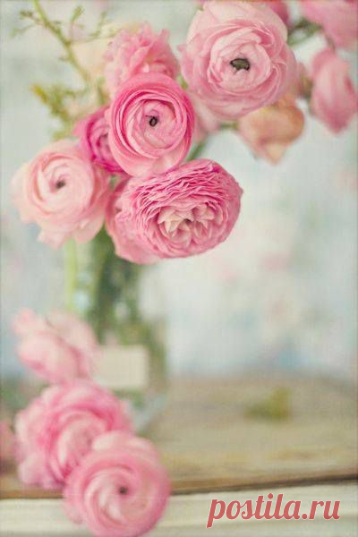 (99) Facebook