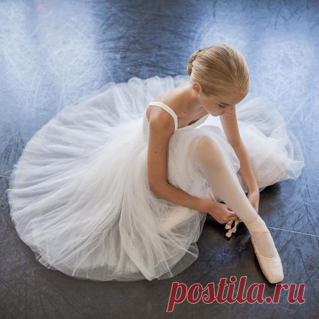 КРАСОТА:  Грация