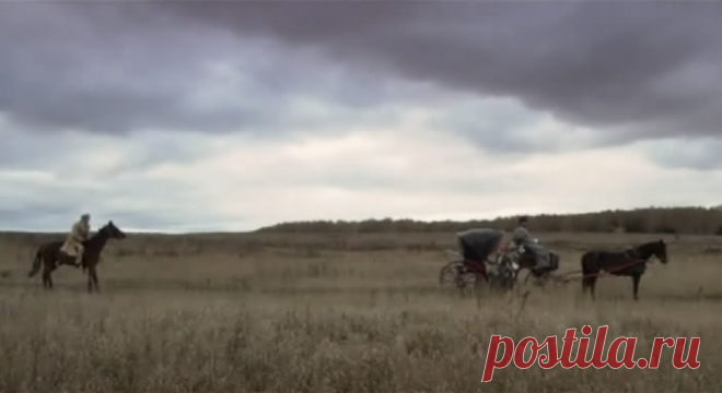 В лесах и на горах (2010)