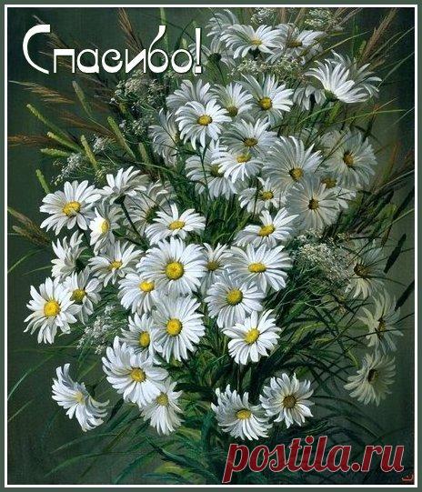 ОТКРЫТКИ ДЛЯ ВСЕХ СО СЛОВАМИ: СПАСИБО, БЛАГОДАРЮ, ПОЖАЛУЙСТА. - ОБЩЕНИЕ И ВСЕ САМОЕ ИНТЕРЕСНОЕ. - Группы Мой Мир