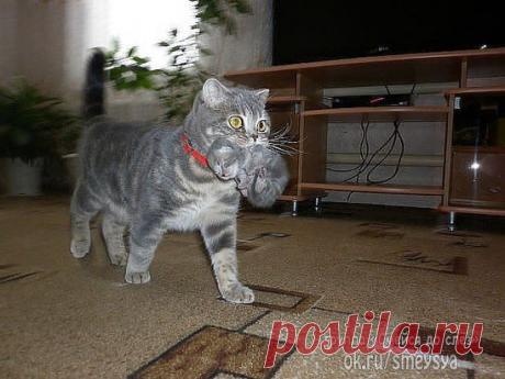 Всё СВОЁ ношу с собой!