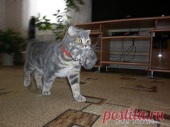 Всё СВОЁ ношу с собой!