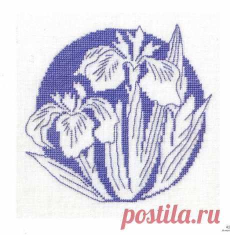 Яндекс.Фотки